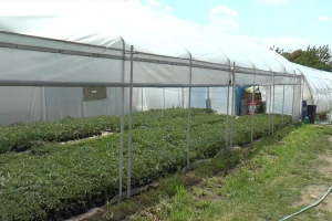 Donirano 48 plastenika najugroženijim poljoprivrednicima