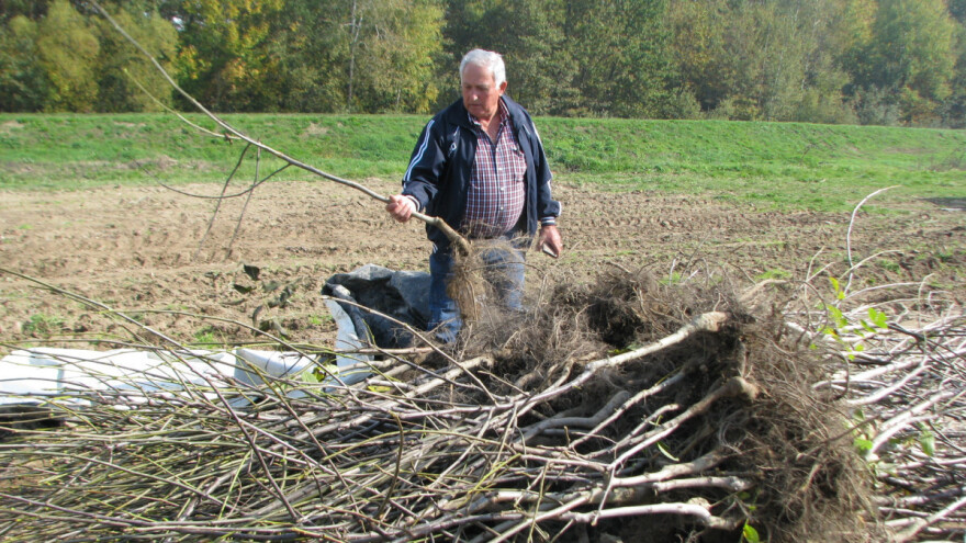 Jovo Dragojević: Dnevnica od 50 KM, restoranska hrana i smještaj nisu privlačni za nezaposlene u BiH