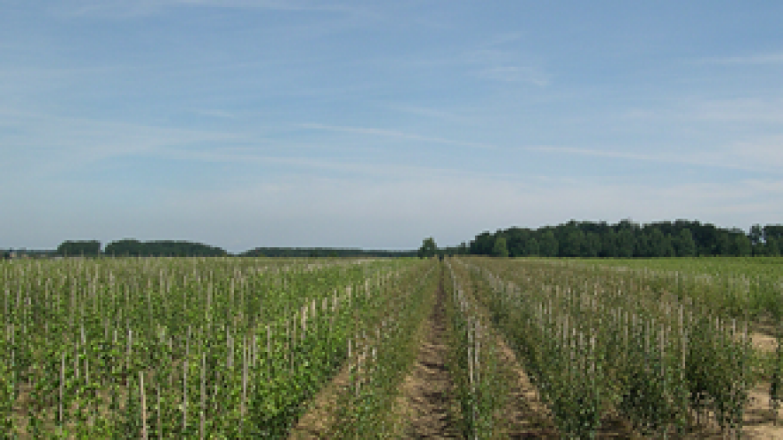 Kvalitetom do europskog iskoraka