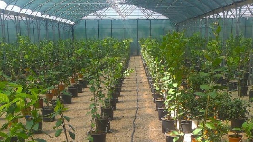 Do suvremene tehnologije kroz ruralne mjere!