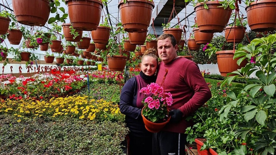 Mlada Amra Husić proizvodi preko 70 vrsta cvjetnica i brzo se izdvojila kvalitetom