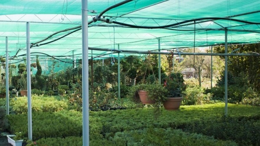 Preporučuje se zasjenjivanje osjetljivih biljaka!