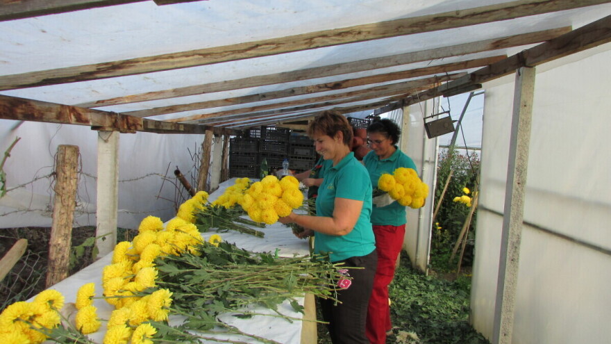 Prvi sajam preduzetništva žena u RS