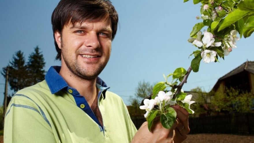 Vratiti staru slavu domaćem uzgoju sadnica!
