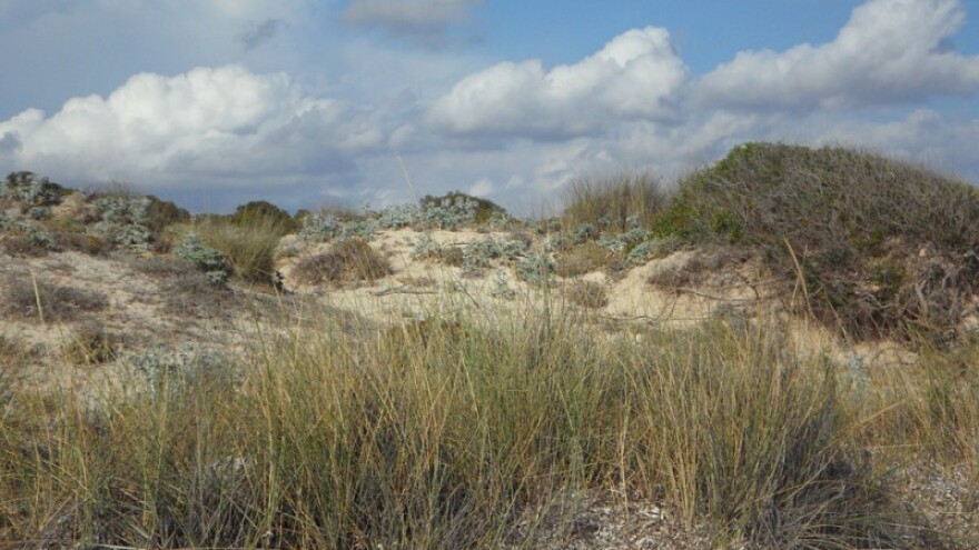 Zakup državnog zemljišta na području grada Benkovca