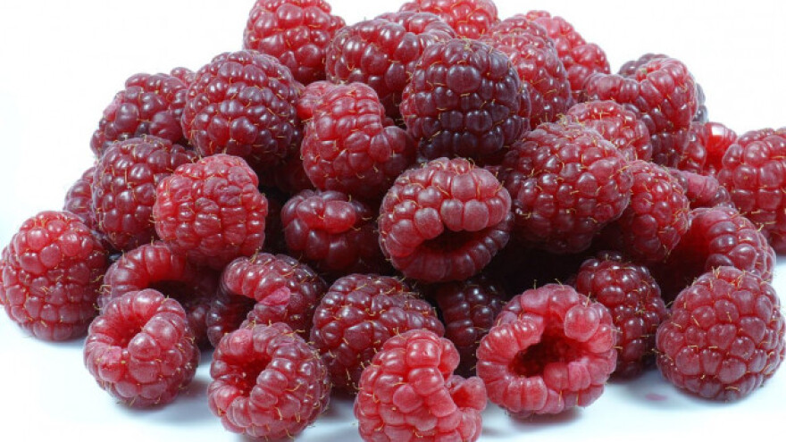 Maline vraćene u Srbiju zbog norovirusa!