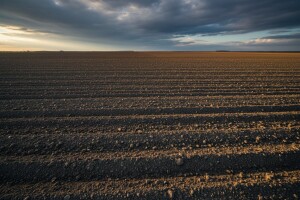 Raspodjela džavnog zemljišta