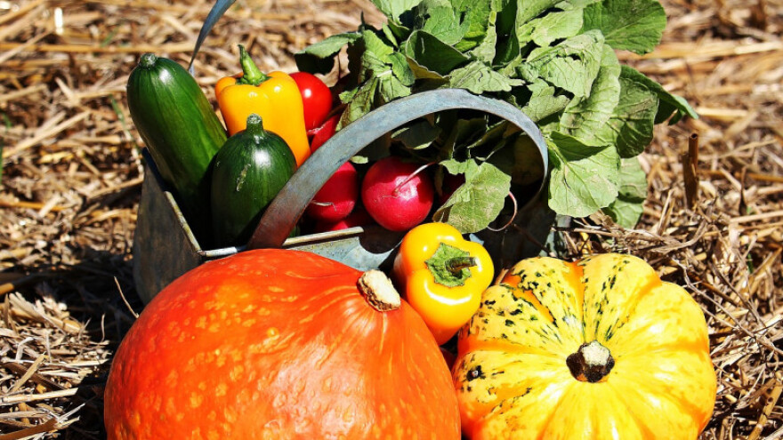 Sigurnost opskrbe kvalitetnom hranom je prioritet