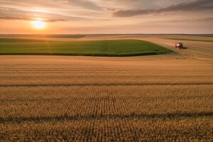 Rast cijena hrane treba kočiti većom proizvodnjom