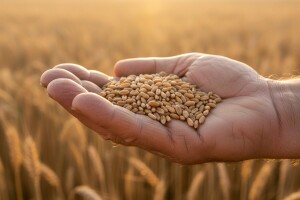 Rast cijena poljoprivrednih proizvoda, ali ne i hrane