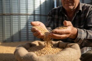 Rastu cijene hrane, ali i otkupa