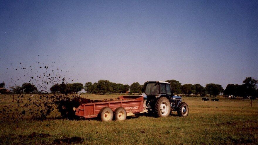 Kada je najbolje vrijeme za izvoženje i rasturanje stajnjaka?