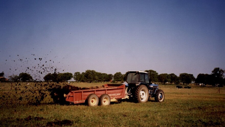 Kada je najbolje vrijeme za izvoženje i rasturanje stajnjaka?