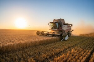 Ratari očekuju solidne prinose i cijenu pšenice