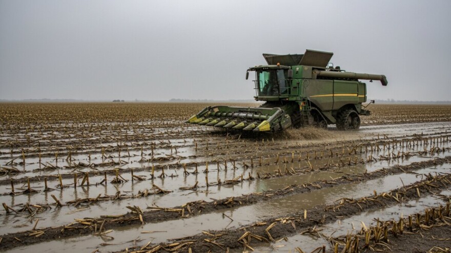 Ratari spas vide u rastu cijena jesenskih kultura
