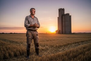 Ratari traže 2,40 kune za pšenicu, otkupljivačima previše i 1,50 kuna