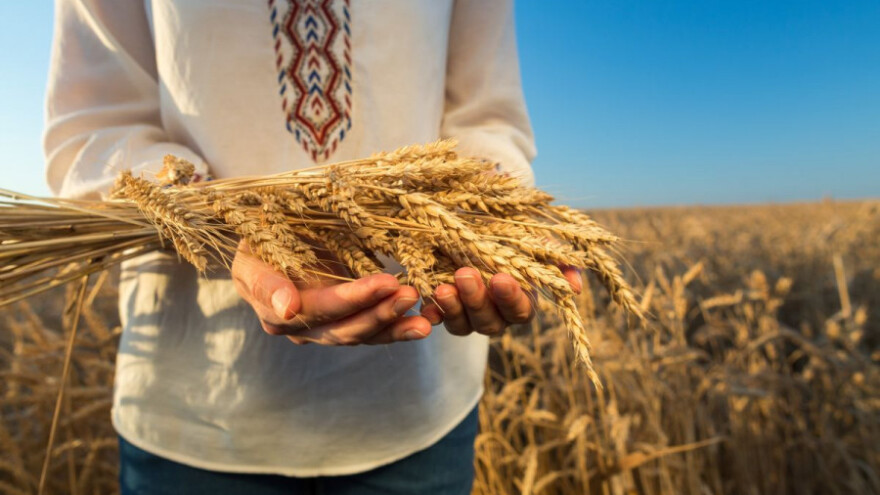Semberijski ratari sav rod prodaju Turskoj?