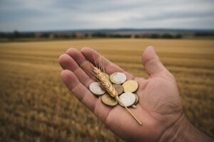 Ratarima mrvice, otkupljivačima velika zarada