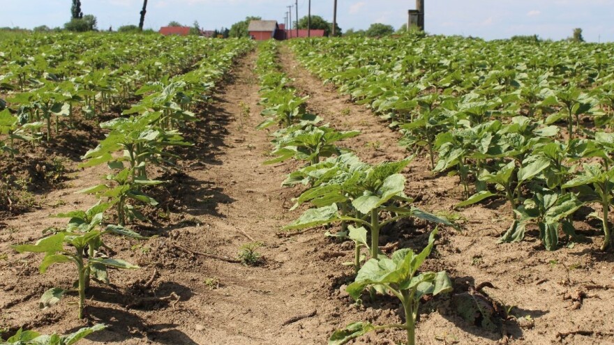 Ministarstvu poljoprivrede rebalansom proračuna dodatnih 838 milijuna kuna