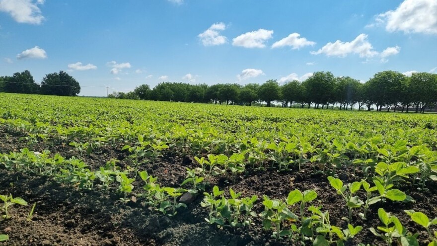 HPK: Nedopustivo je da e-savjetovanje za najvažniji Pravilnik traje samo pet dana