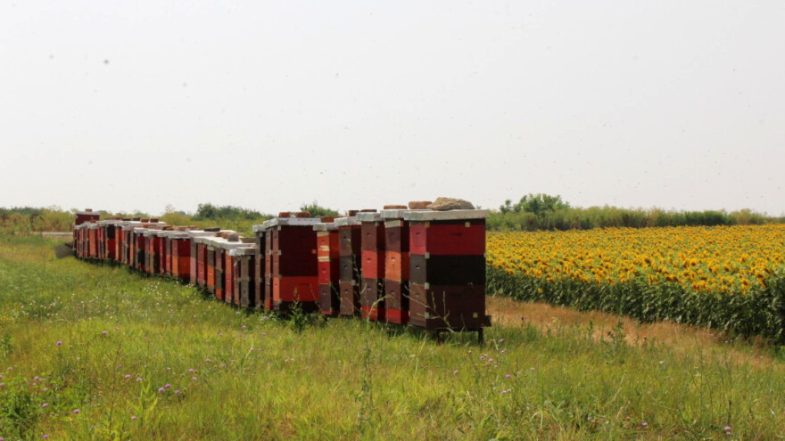 Izmjene i dopune Pravilnika za Nacionalni pčelarski program