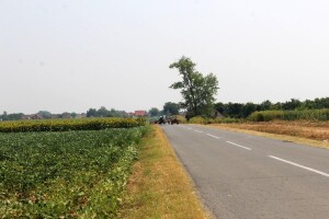 Malim OPG-ovima s potpomognutih područja dodijeljeno 20 milijuna kuna