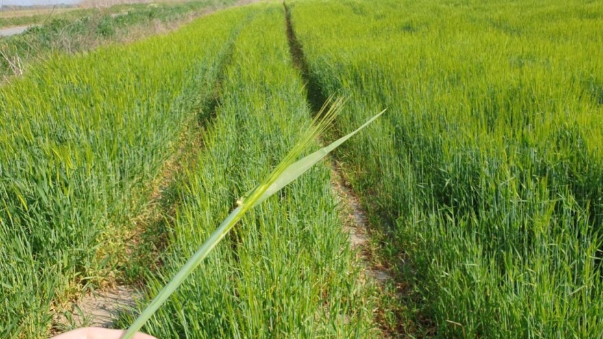 Izmjene i dopune Zakona o poljoprivredi, što donosi Nacrt prijedloga?