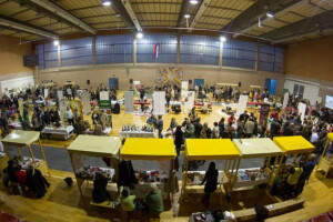 Festival vina u Somboru