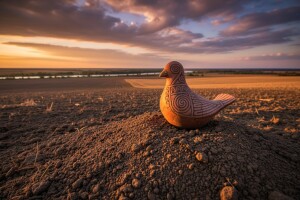 Ravnica u kojoj se život iznova rađa