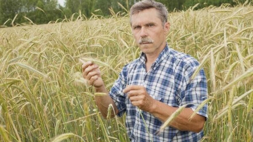 Na škrtom tlu cvjeta eko ratarstvo - lovac u raži!