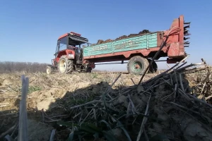 Može li se očuvati plodnost zemljišta bez stajnjaka?