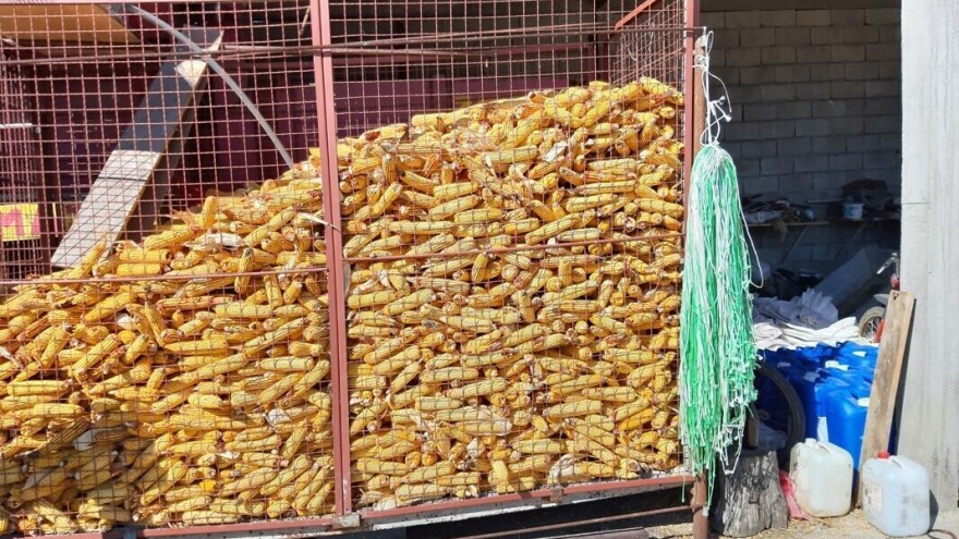 Niže cene kukuruza na novosadskoj Produktnoj berzi