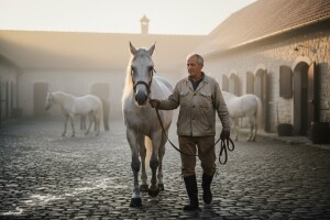 Razgovori o statusu Ergele odgađaju prosvjede