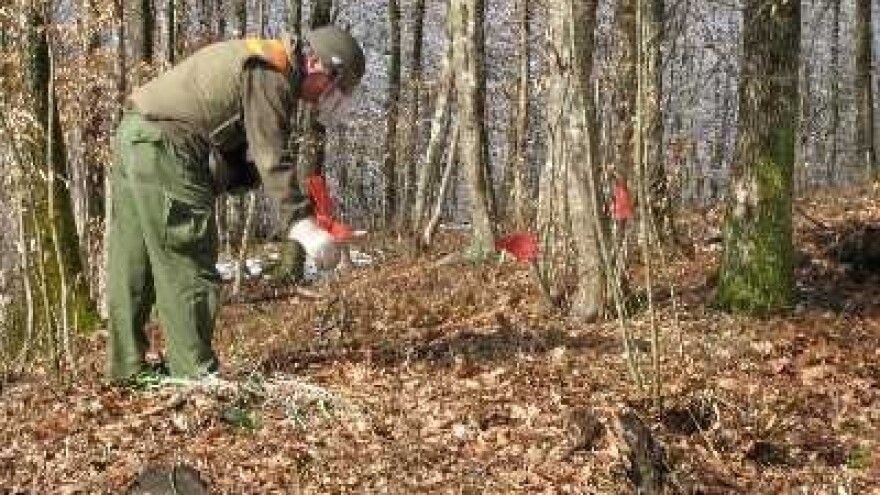 Do kraja godine i šume na istoku bez mina