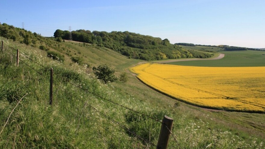 4,5 milijuna kuna za razminiranje zemljišta