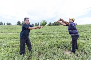 Voćarski projekti su prioritet ruralnog razvoja!