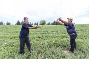 Voćarski projekti su prioritet ruralnog razvoja!