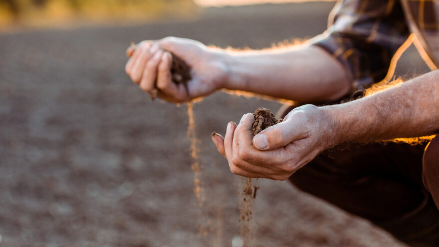 Razvojni fond Vojvodine raspisao konkurse za kreditiranje u poljoprivredi