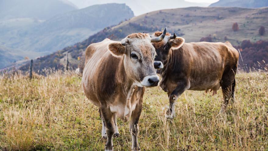 Bespovratno: 6 miliona KM za primarnu poljoprivrednu proizvodnju