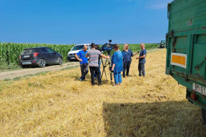 Ratari na nogama: Zar 100 kilograma pšenice vrijedi 4 kuglice sladoleda?!
