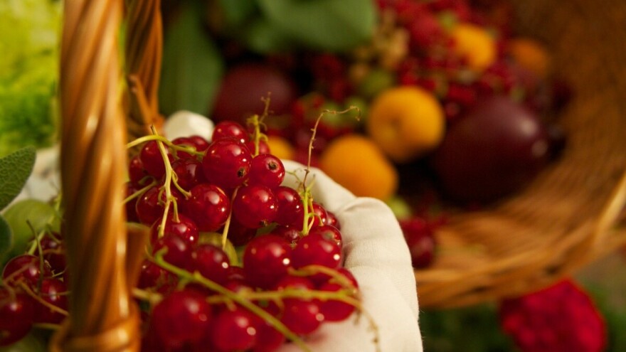 Agro Belgrade: Međunarodni sajam voćarstva, vinogradarstva i povrćarstva