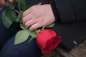 U veljači uvezemo više od milijun ruža