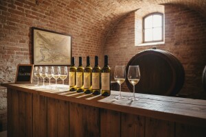 Regionalni muzej vina u Osijeku 2013