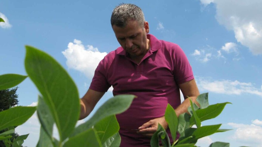 Rejonizacija - projekat važan za državu, ali i za voćare