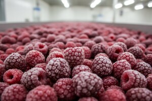 Rekordan izvoz smrznute maline iz Ukrajine