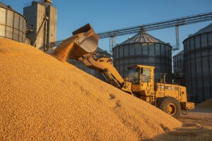 Rekordan start sezone kukuruza u Rusiji