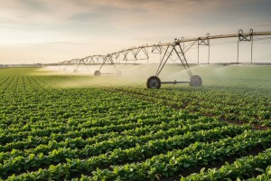 Rekorderi u navodnjavanju!