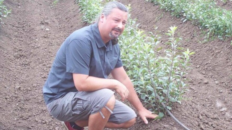 Kraj integrirane proizvodnje?