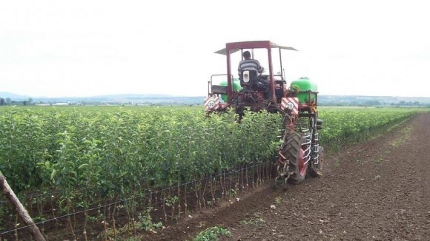Zakup državnog zemljišta na području Kutjeva