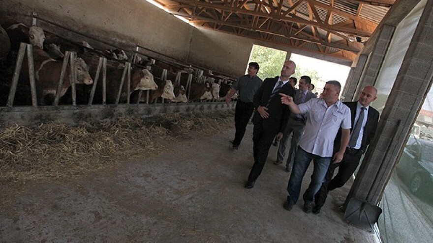 Za proizvodnju mlijeka 1,9 milijuna kuna